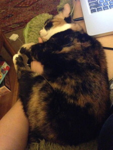 Writer problems: writing one-handed because your cat has cuddled with your other hand.