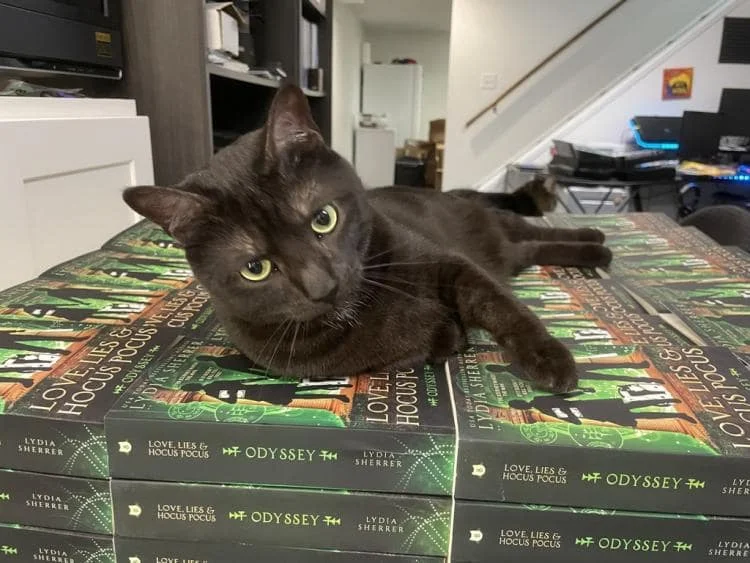 Sir Bastion lazily sprawled on top of a pallet full of new copies of Love Lies and Hocus Pocus Odyssey