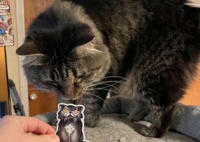 A picture of Gadget the cat sniffing a Sir Kipling sticker.